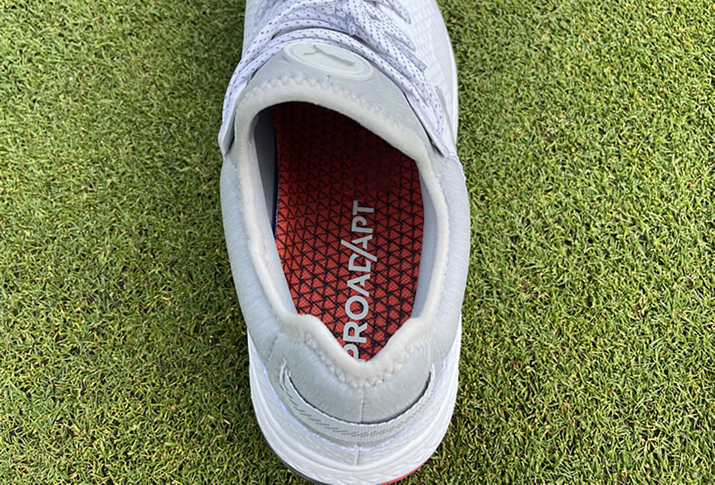 golf shoe